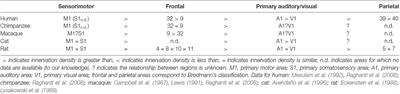 Is There a Canonical Cortical Circuit for the Cholinergic System? Anatomical Differences Across Common Model Systems